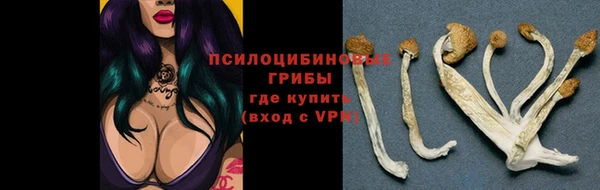 спайс Приозерск