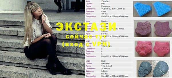 индика Барнаул