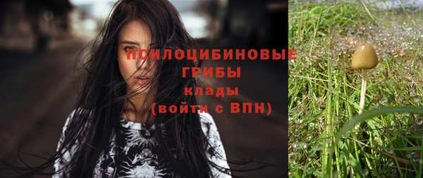 спайс Приозерск